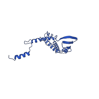 4805_6rd4_7_v1-3
CryoEM structure of Polytomella F-ATP synthase, Full dimer, composite map