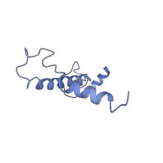 4805_6rd4_9_v1-3
CryoEM structure of Polytomella F-ATP synthase, Full dimer, composite map