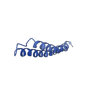 4805_6rd4_C_v1-3
CryoEM structure of Polytomella F-ATP synthase, Full dimer, composite map