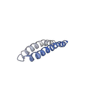 4805_6rd4_G_v1-3
CryoEM structure of Polytomella F-ATP synthase, Full dimer, composite map