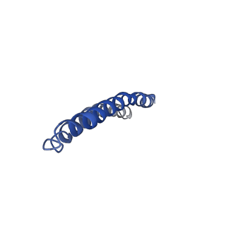 4805_6rd4_H_v1-3
CryoEM structure of Polytomella F-ATP synthase, Full dimer, composite map
