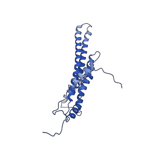 4805_6rd4_M_v1-3
CryoEM structure of Polytomella F-ATP synthase, Full dimer, composite map