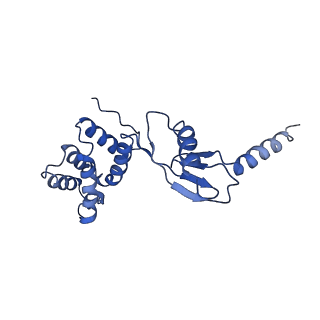 4805_6rd4_P_v1-3
CryoEM structure of Polytomella F-ATP synthase, Full dimer, composite map