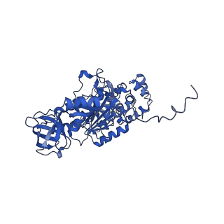4805_6rd4_T_v1-3
CryoEM structure of Polytomella F-ATP synthase, Full dimer, composite map