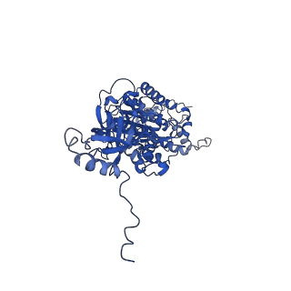 4805_6rd4_V_v1-3
CryoEM structure of Polytomella F-ATP synthase, Full dimer, composite map
