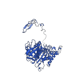 4805_6rd4_Z_v1-3
CryoEM structure of Polytomella F-ATP synthase, Full dimer, composite map