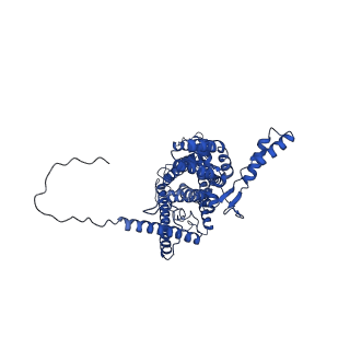 4806_6rd5_1_v1-3
CryoEM structure of Polytomella F-ATP synthase, focussed refinement of Fo and peripheral stalk, C2 symmetry