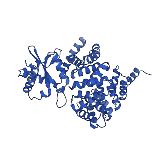 4807_6rd6_2_v1-2
CryoEM structure of Polytomella F-ATP synthase, focussed refinement of upper peripheral stalk