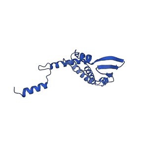 4807_6rd6_7_v1-2
CryoEM structure of Polytomella F-ATP synthase, focussed refinement of upper peripheral stalk