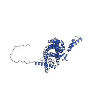 4808_6rd7_1_v1-2
CryoEM structure of Polytomella F-ATP synthase, c-ring position 1, focussed refinement of Fo and peripheral stalk