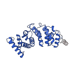 4808_6rd7_3_v1-2
CryoEM structure of Polytomella F-ATP synthase, c-ring position 1, focussed refinement of Fo and peripheral stalk