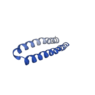 4808_6rd7_F_v1-2
CryoEM structure of Polytomella F-ATP synthase, c-ring position 1, focussed refinement of Fo and peripheral stalk