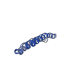 4808_6rd7_H_v1-2
CryoEM structure of Polytomella F-ATP synthase, c-ring position 1, focussed refinement of Fo and peripheral stalk