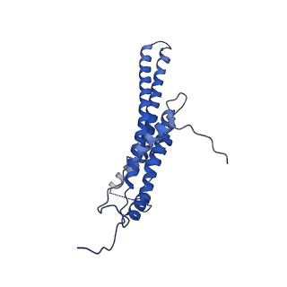 4808_6rd7_M_v1-2
CryoEM structure of Polytomella F-ATP synthase, c-ring position 1, focussed refinement of Fo and peripheral stalk