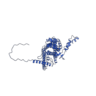 4810_6rd9_1_v1-3
CryoEM structure of Polytomella F-ATP synthase, Primary rotary state 1, composite map