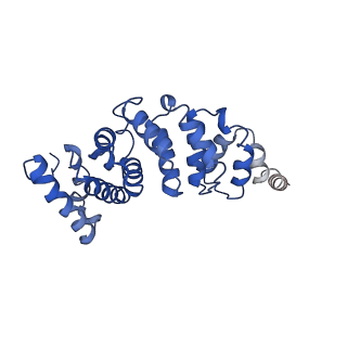 4810_6rd9_3_v1-3
CryoEM structure of Polytomella F-ATP synthase, Primary rotary state 1, composite map