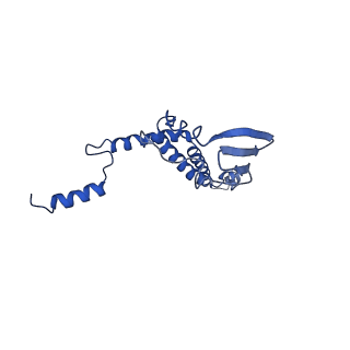 4810_6rd9_7_v1-3
CryoEM structure of Polytomella F-ATP synthase, Primary rotary state 1, composite map