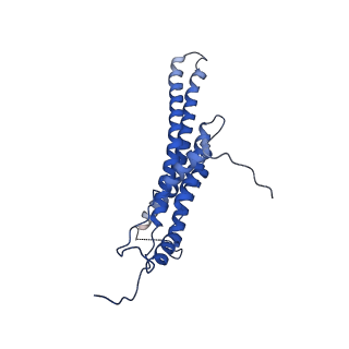 4810_6rd9_M_v1-3
CryoEM structure of Polytomella F-ATP synthase, Primary rotary state 1, composite map