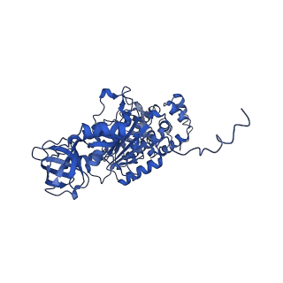 4810_6rd9_T_v1-3
CryoEM structure of Polytomella F-ATP synthase, Primary rotary state 1, composite map