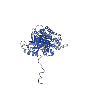 4810_6rd9_V_v1-3
CryoEM structure of Polytomella F-ATP synthase, Primary rotary state 1, composite map