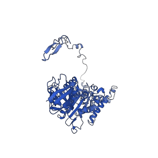 4810_6rd9_Z_v1-3
CryoEM structure of Polytomella F-ATP synthase, Primary rotary state 1, composite map
