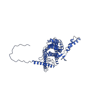 4811_6rda_1_v1-2
CryoEM structure of Polytomella F-ATP synthase, Primary rotary state 1, monomer-masked refinement