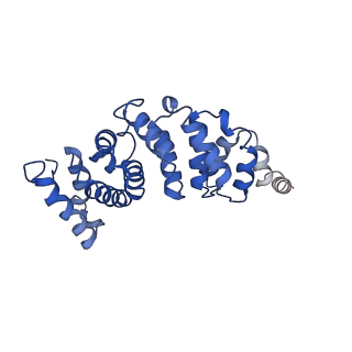4811_6rda_3_v1-2
CryoEM structure of Polytomella F-ATP synthase, Primary rotary state 1, monomer-masked refinement