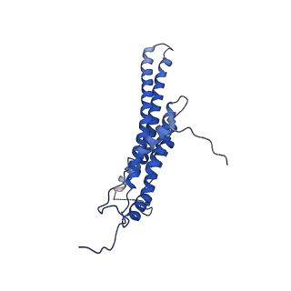 4811_6rda_M_v1-2
CryoEM structure of Polytomella F-ATP synthase, Primary rotary state 1, monomer-masked refinement