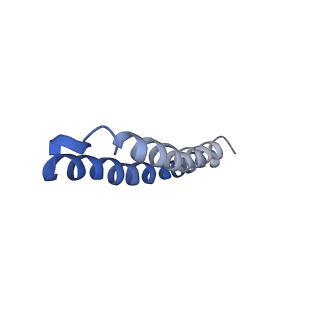 4812_6rdb_C_v1-2
CryoEM structure of Polytomella F-ATP synthase, Primary rotary state 1, focussed refinement of F1 head and rotor