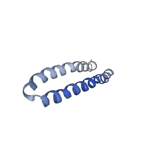 4812_6rdb_F_v1-2
CryoEM structure of Polytomella F-ATP synthase, Primary rotary state 1, focussed refinement of F1 head and rotor