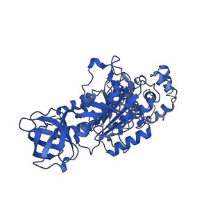 4812_6rdb_T_v1-2
CryoEM structure of Polytomella F-ATP synthase, Primary rotary state 1, focussed refinement of F1 head and rotor
