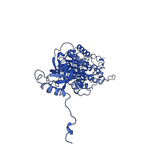 4812_6rdb_V_v1-2
CryoEM structure of Polytomella F-ATP synthase, Primary rotary state 1, focussed refinement of F1 head and rotor