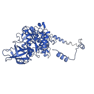 4812_6rdb_Y_v1-2
CryoEM structure of Polytomella F-ATP synthase, Primary rotary state 1, focussed refinement of F1 head and rotor