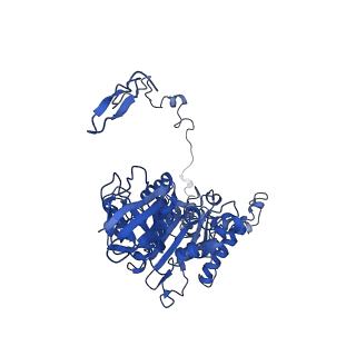 4812_6rdb_Z_v1-2
CryoEM structure of Polytomella F-ATP synthase, Primary rotary state 1, focussed refinement of F1 head and rotor