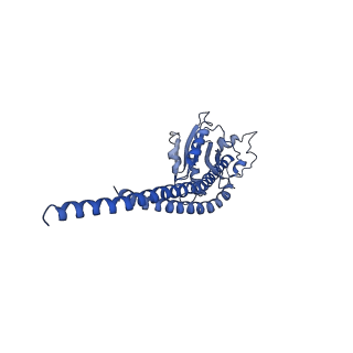 4813_6rdc_S_v1-3
CryoEM structure of Polytomella F-ATP synthase, Primary rotary state 2, composite map
