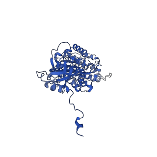 4813_6rdc_V_v1-3
CryoEM structure of Polytomella F-ATP synthase, Primary rotary state 2, composite map