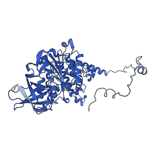 4813_6rdc_Y_v1-3
CryoEM structure of Polytomella F-ATP synthase, Primary rotary state 2, composite map