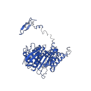 4813_6rdc_Z_v1-3
CryoEM structure of Polytomella F-ATP synthase, Primary rotary state 2, composite map