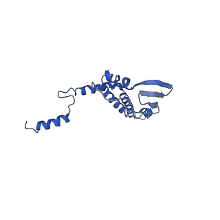 4814_6rdd_7_v1-2
Cryo-EM structure of Polytomella F-ATP synthase, Primary rotary state 2, monomer-masked refinement