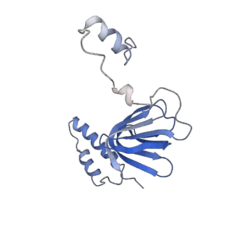 4815_6rde_R_v1-2
CryoEM structure of Polytomella F-ATP synthase, Primary rotary state 2, focussed refinement of F1 head and rotor