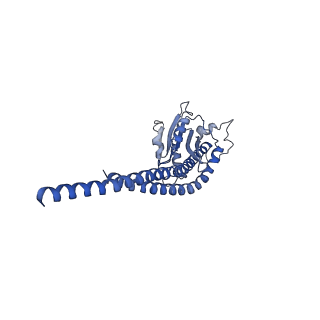 4815_6rde_S_v1-2
CryoEM structure of Polytomella F-ATP synthase, Primary rotary state 2, focussed refinement of F1 head and rotor