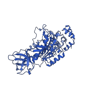 4815_6rde_T_v1-2
CryoEM structure of Polytomella F-ATP synthase, Primary rotary state 2, focussed refinement of F1 head and rotor