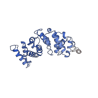 4816_6rdf_3_v1-2
CryoEM structure of Polytomella F-ATP synthase, Primary rotary state 3, monomer-masked refinement