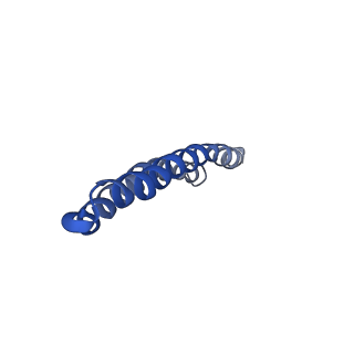 4817_6rdg_A_v1-2
CryoEM structure of Polytomella F-ATP synthase, Primary rotary state 3, focussed refinement of F1 head and rotor