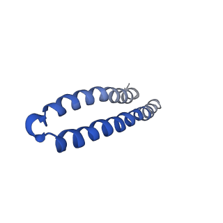 4817_6rdg_I_v1-2
CryoEM structure of Polytomella F-ATP synthase, Primary rotary state 3, focussed refinement of F1 head and rotor