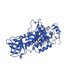 4817_6rdg_T_v1-2
CryoEM structure of Polytomella F-ATP synthase, Primary rotary state 3, focussed refinement of F1 head and rotor