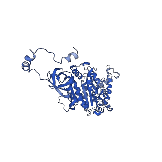 4817_6rdg_U_v1-2
CryoEM structure of Polytomella F-ATP synthase, Primary rotary state 3, focussed refinement of F1 head and rotor