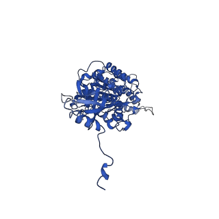 4817_6rdg_V_v1-2
CryoEM structure of Polytomella F-ATP synthase, Primary rotary state 3, focussed refinement of F1 head and rotor
