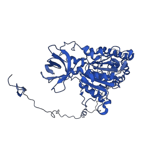 4817_6rdg_X_v1-2
CryoEM structure of Polytomella F-ATP synthase, Primary rotary state 3, focussed refinement of F1 head and rotor