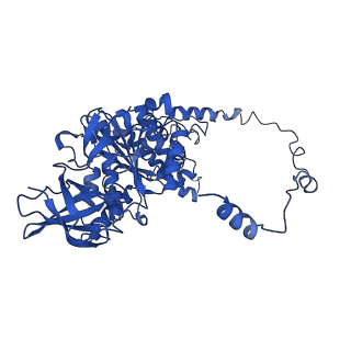 4817_6rdg_Y_v1-2
CryoEM structure of Polytomella F-ATP synthase, Primary rotary state 3, focussed refinement of F1 head and rotor